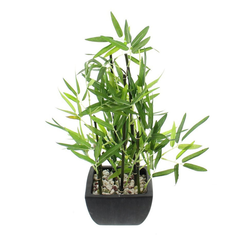 Faux bambou en pot