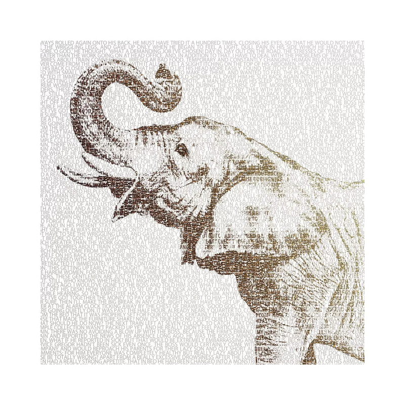 The Intellectual Elephant by Paula Belle Flores - Wrapped Canvas Print, 30.48cm H x 30.48cm W x 1.905cm D
