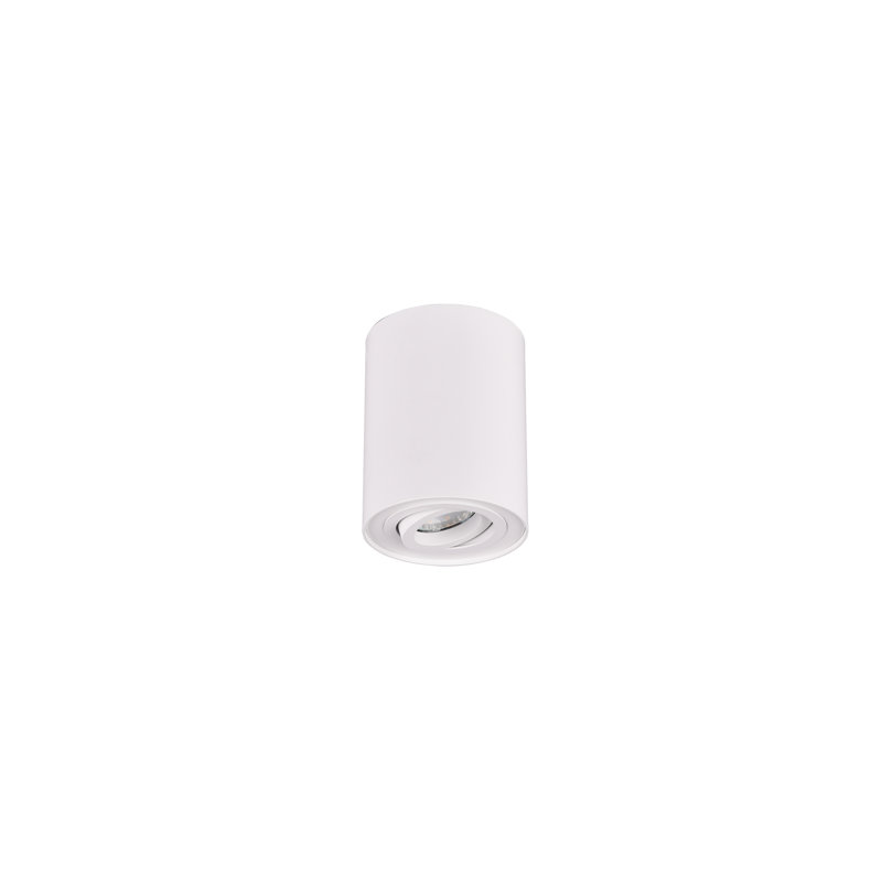 Dewitt LED Flush Mount, Matte White