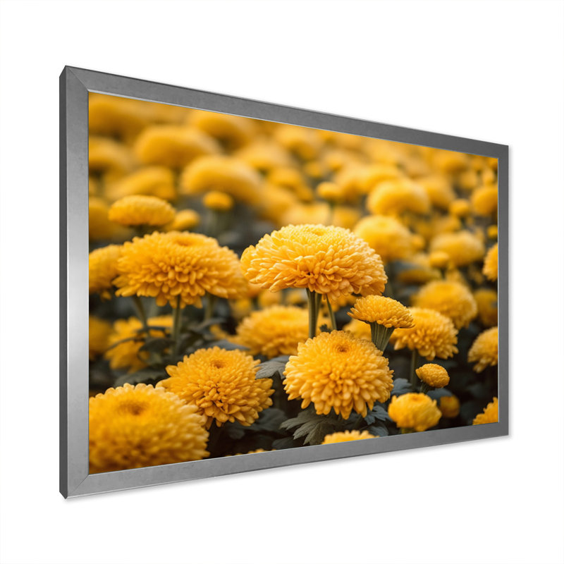«Yellow Mums in Bloom II» sur toile, Cadre simple argenté, H 12 po x l 20 po x P 1 po