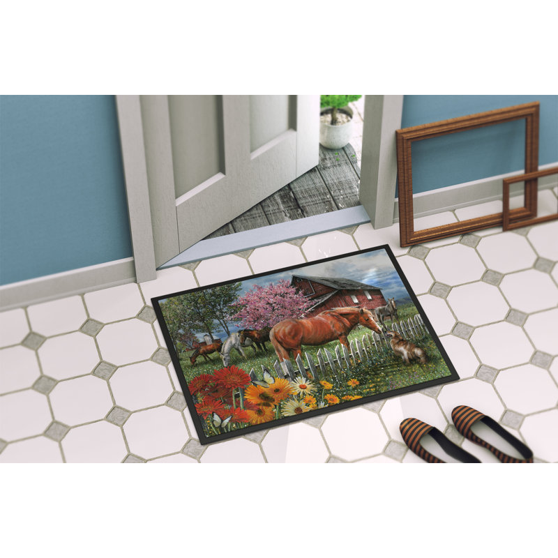 Dorielle Non-Slip Outdoor Doormat, 2' x 3'