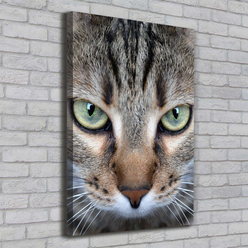 Cat's Eyes - Wrapped Canvas Print