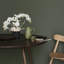 Roudy Arrangement-1752414517