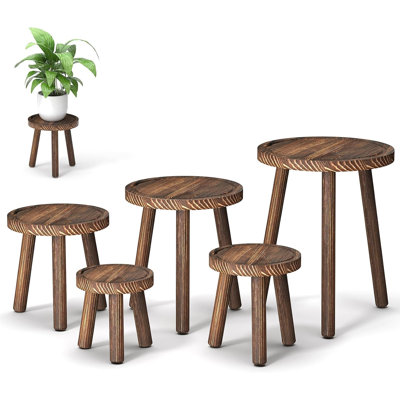Ensemble de 5 supports à plantes d'intérieur en bois, support individuel pour pots de 15 à 30 cm, support haut, brun foncé