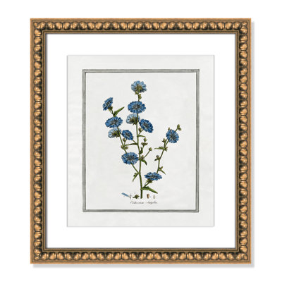 Colombe Soft Botanical I - Framed Art Full Bleed