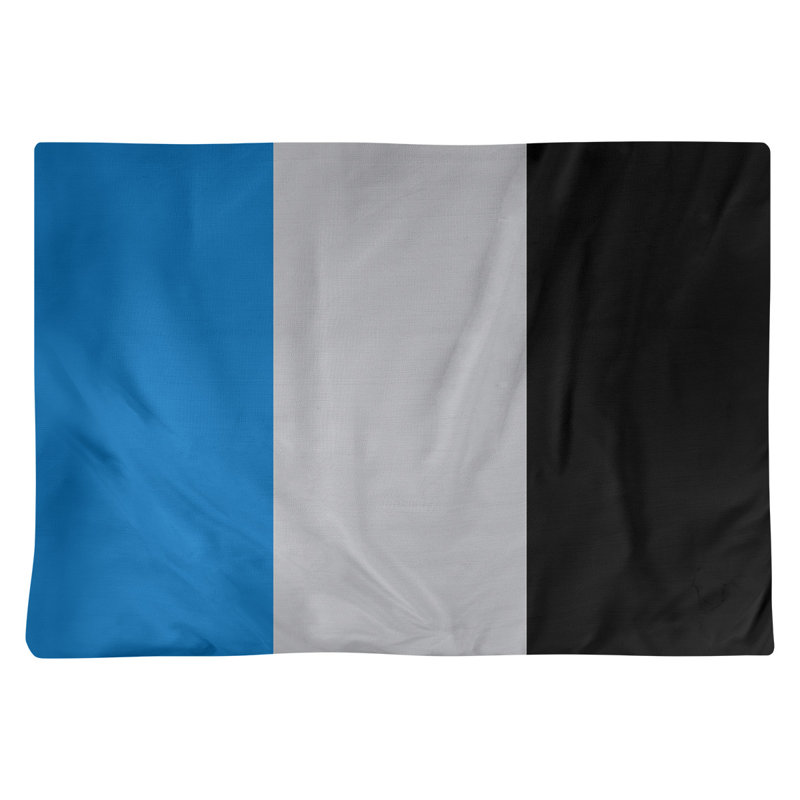 Récapitulatif 18" basket New York, Bleu / argent / noir, Polyester