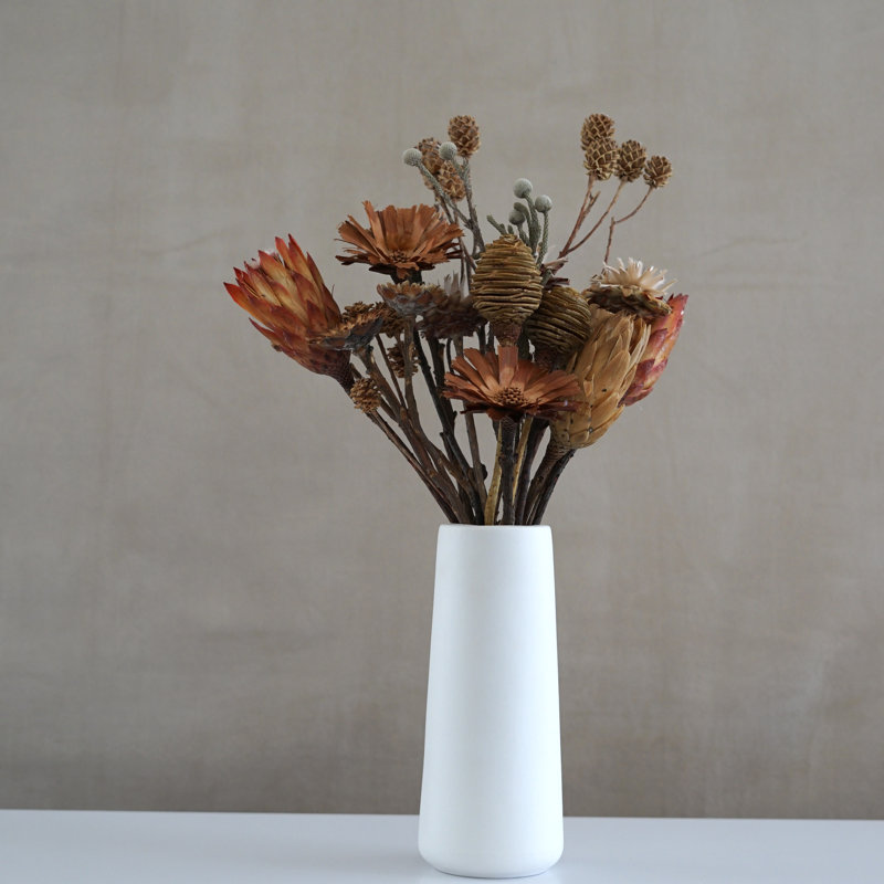 Brosse exotique Protea