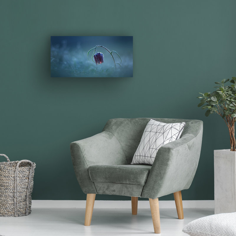 Bolog Peter Bognar Frozen Moonlight Canvas Art, 24" H x 47" W