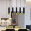 1 - Light Black Pendant