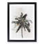 Cuban Palm Tree in Abstract - Picture Frame Graphic Art Print-55679674-55679675