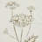 Metal Relief Floral Home Wall Decor with Gold Detailing