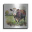 «Star» par The Golden Valley sur métal-271869361