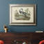 Audubons Louisiana Heron - reproduction d'art sur toile-1297843527