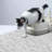 Litter Mat-63001721