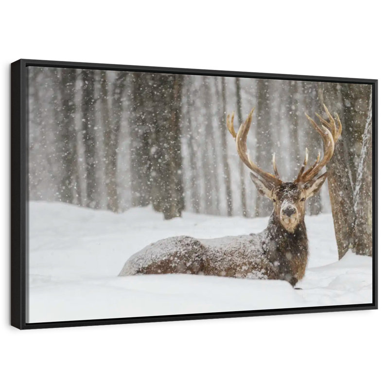 Brampt Snow Covered Elk, 9" H x 13" W