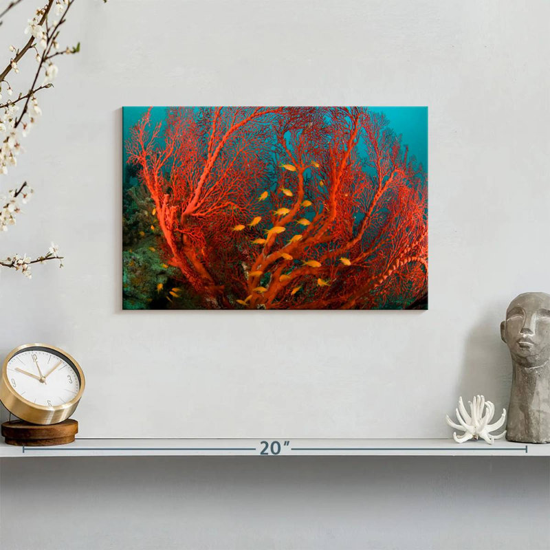 Fire Coral, 8" H x 12" W