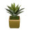 Succulent de bureau artificiel en vase décoratif