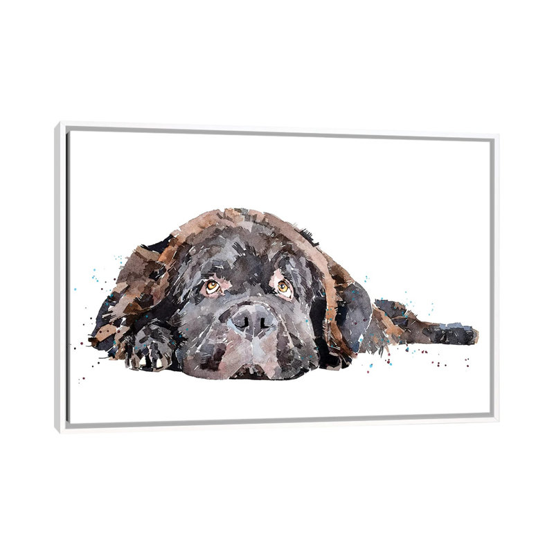 Chien Terre-Neuve imprimé par EdsWatercolours - impression, H 18 po x l 26 po x P 1,5 po, Toile blanche encadrée