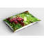 Ensemble de 2 taies décoratives à motif de raisins Ambesonne-100344541