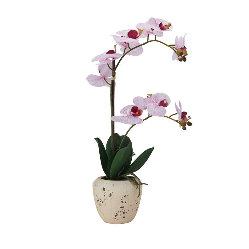 22 in. Realistic Artificial Orchid with Decorative Pot