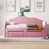 Rose est en rupture de stock