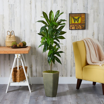 Dracaena Artificial Plant in Green Planter