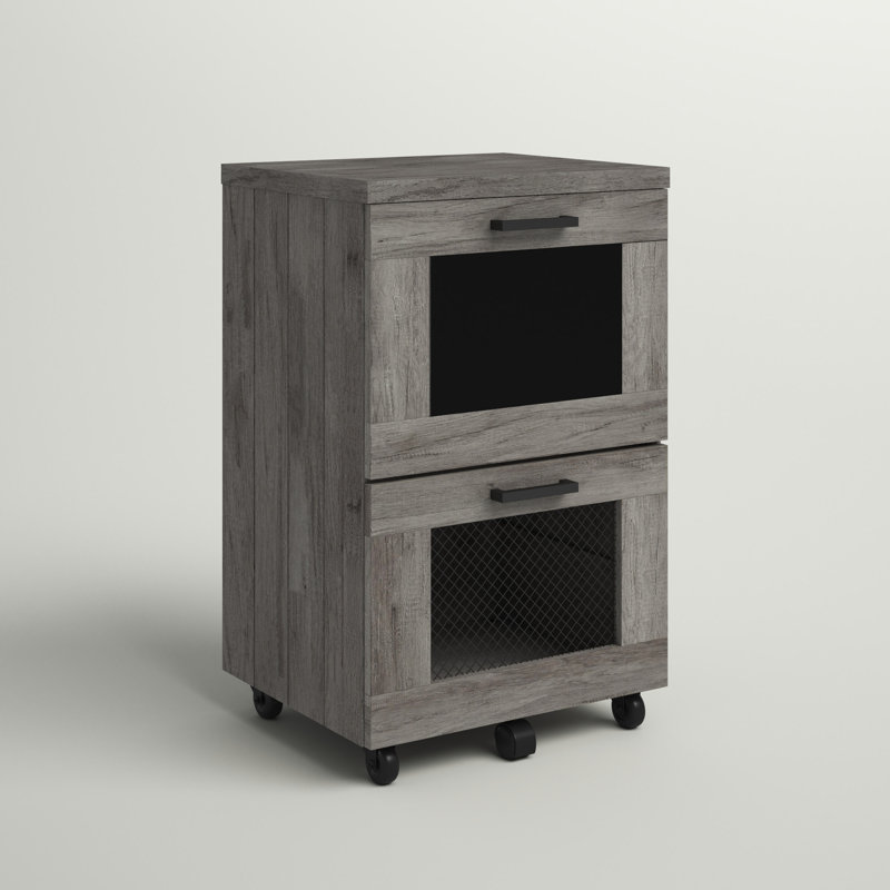 Hudson 15.7'' Wide 2 -Drawer Mobile File Cabinet