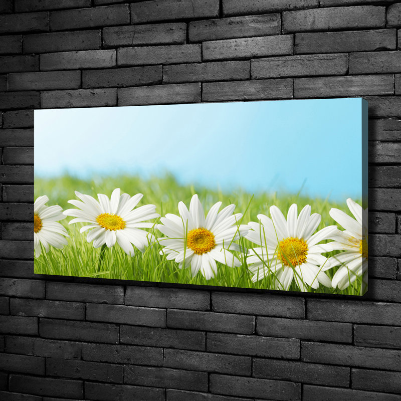 Daisies - No Frame Print on Canvas
