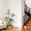 29cm Plant-837551969