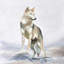 Toile encadrée beige loup Nature Home Decor
