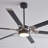 Ceiling Fan with LED Lights-765204259-725546161