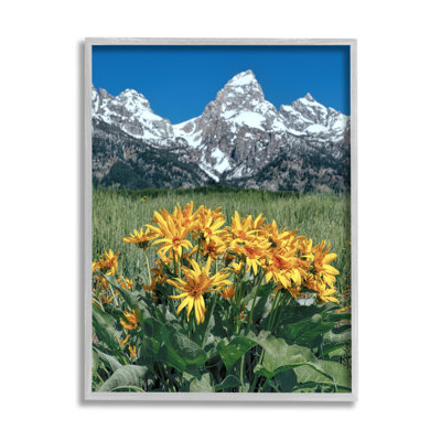 «Daisies & Mountain Peaks» encadré sur bois par Daniel Sproul