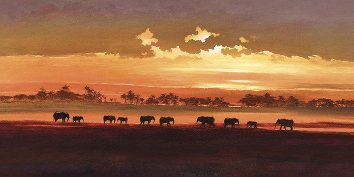 Jonathan Sanders - Wrapped Canvas Print