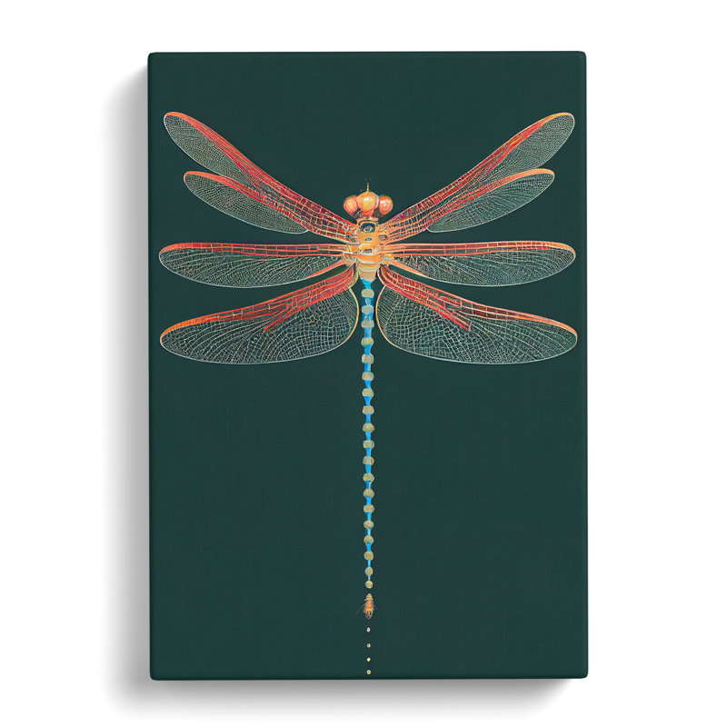 Gentle Dragonfly - Wrapped Canvas, 50cm H x 35cm W x 3cm D