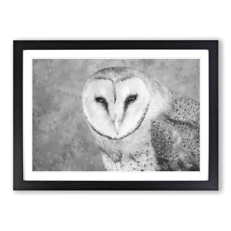 Barn Owl - Single Picture Frame Painting on MDF, 45cm H x 63cm W x 2cm D, Black