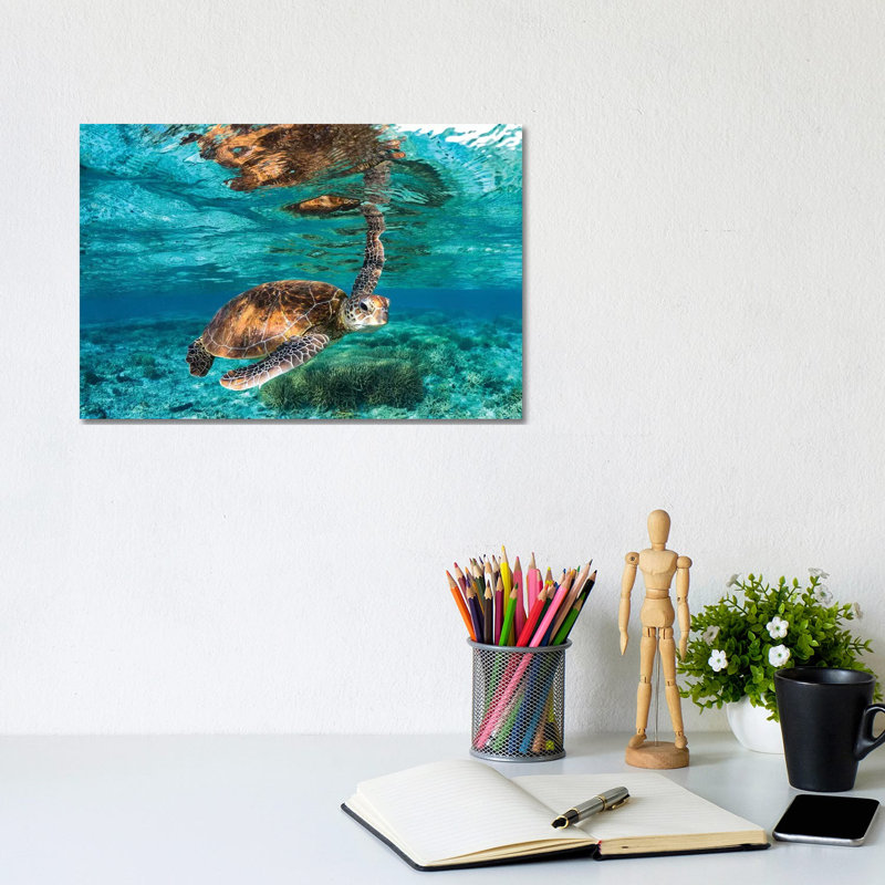 Hey You by Jordan Robins - Print on Canvas, No Framed, 101.6 cm H x 66.04 cm W x 3.175 cm D