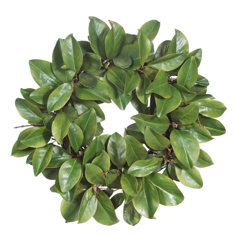 Magnolia Leaf Twig Wreath, 24" H x 24" W x 7" D