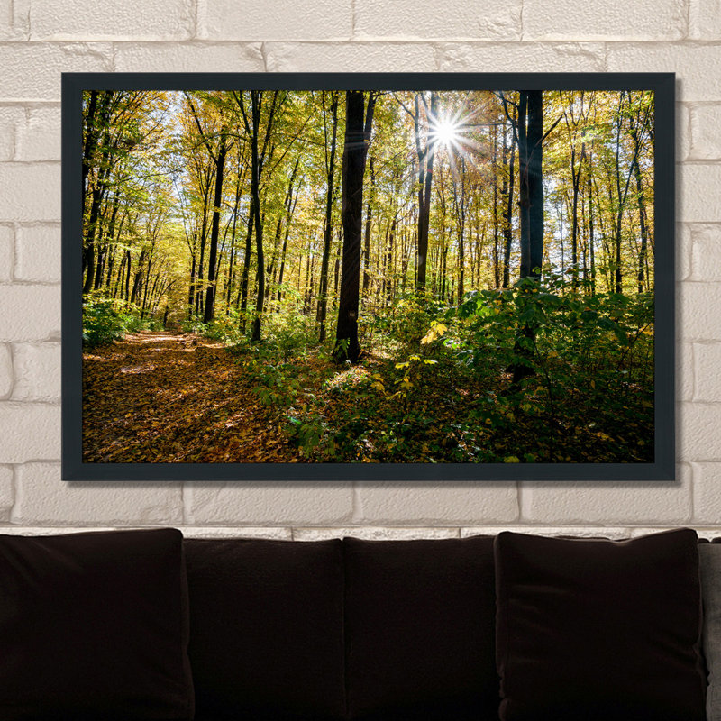 Single Picture Frame Photograph, 27.5" H x 39.5" W x 0.75" D