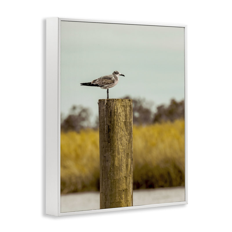 «Gull On Pile», dessin de Christy Berry, Encadrement giclée blanc côtier, H 14 po x l 11 po