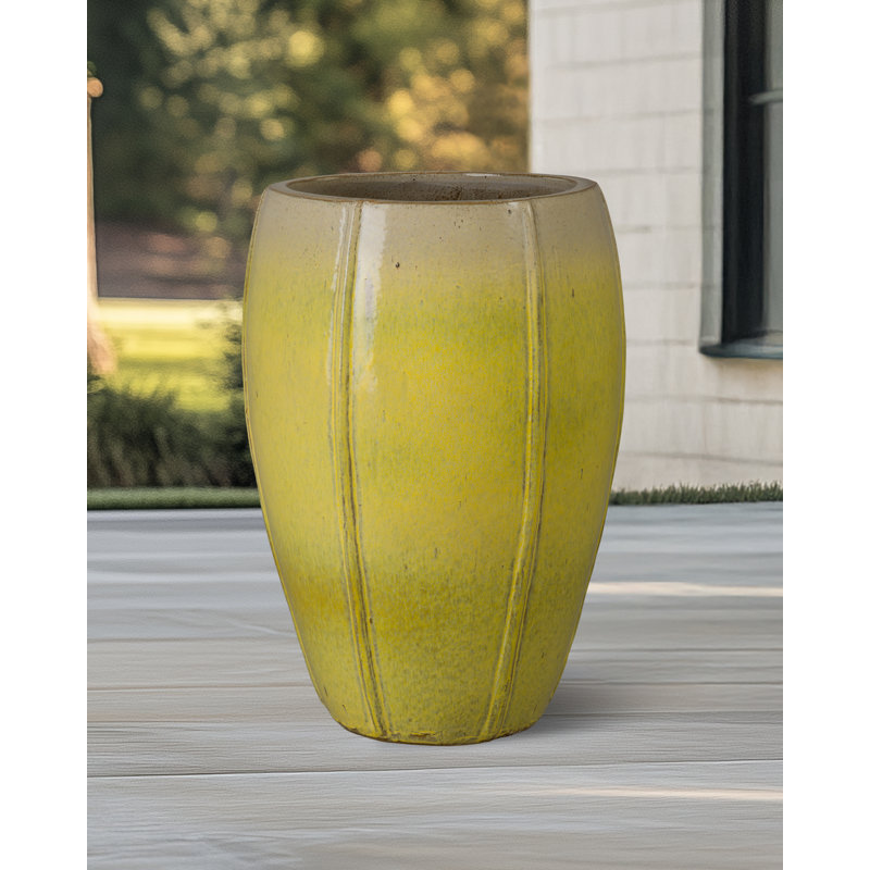 CREST PLANT, NEIGE, Jaune, H 25 po x l 18 po x P 18 po