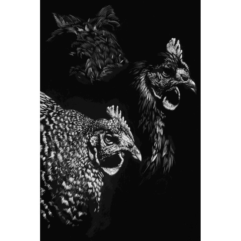 Scratchboard Skeptics 2855299, H 30 po x l 20 po x P 1,25 po