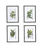 Ensemble de 4 fleurs murales botaniques, décoration pour le salon, la salle à manger, la chambre à coucher, le couloir, 20 po x 28 po