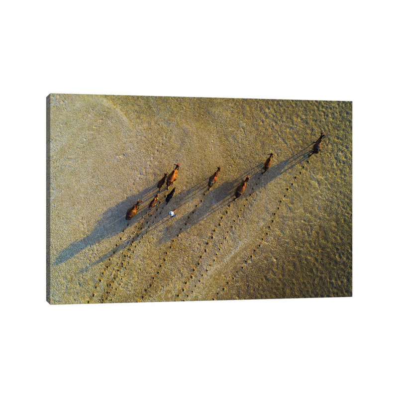 Buffalos Raising by Trung Pham - Gallery-Wrapped Canvas Giclée on Canvas, 20.32 cm H x 30.48 cm W, Canvas