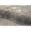Abstract Area Rug