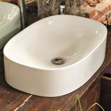 Wild 23.6'' L Bathroom Sink