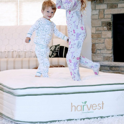 Harvest Green Mattress 13'' Medium Innerspring Mattress