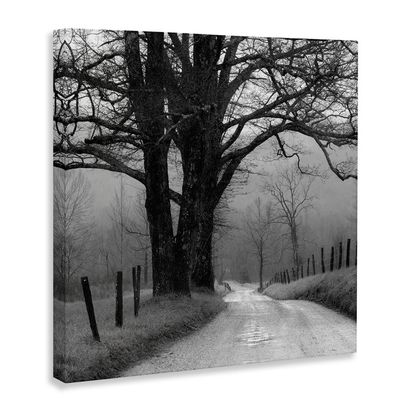 "Lonely Path Vers Trees", art mural sur toile par Nicholas Bell, H 30 po x l 30 po