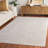 Reflection Performance Oriental Indoor Rug-116166193