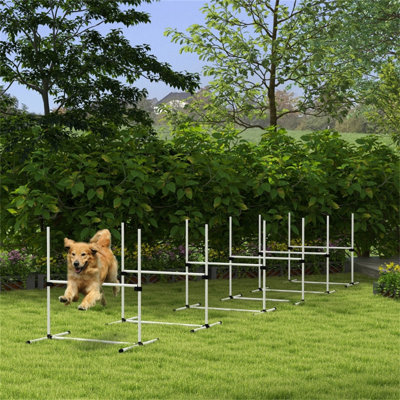 Équipement de dressage d'agilité pour chien Pawhut