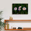 'Leucanthemum' by Rick Berk Canvas Wall Art